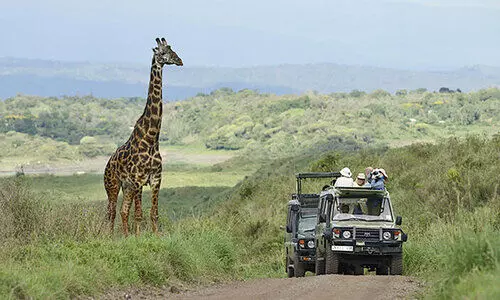 അക്കുനാ മട്ടാട്ട: താൻസാനിയയിലേക്ക് പോരുന്നോ?