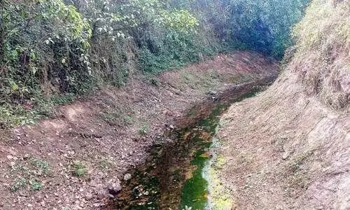 മലങ്കര കനാൽ തുറന്നില്ല; കുടിവെള്ള സ്രോതസ്സുകൾ വറ്റിത്തുടങ്ങി