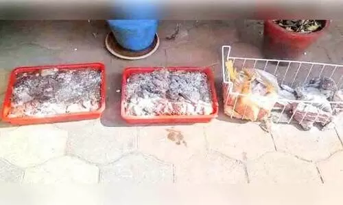 മൂവാറ്റുപുഴയിൽ ഹോട്ടലിൽനിന്നടക്കം പഴകിയ മാംസം പിടിച്ചു മൂവാറ്റുപുഴയിൽ ഹോട്ടലിൽനിന്നടക്കം പഴകിയ മാംസം പിടിച്ചു