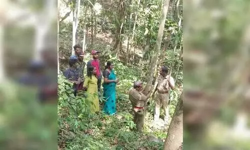 കമുകുംചേരിയിലെ ജനവാസമേഖലയില്‍ പുലിയെ കണ്ടതായി അഭ്യൂഹം