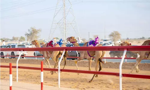 Muhammed Bin Ziyad Festival