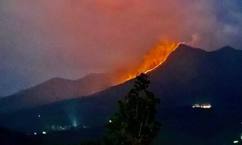 മേപ്പാടി എളമ്പിലേരി ഭാഗത്ത് ചെമ്പ്രമലയിൽ തീപിടിത്തം