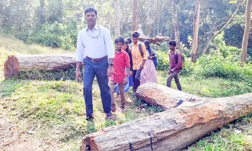കുട്ടികൾ ക്ലാസിലെത്തിയില്ല; കാടുകയറി അധ്യാപകൻ