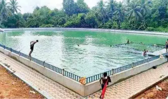 താമരക്കുളം നീന്തൽക്കുളമല്ലെന്ന് സബ് കലക്ടർ താമരക്കുളം നീന്തൽക്കുളമല്ലെന്ന് സബ് കലക്ടർ