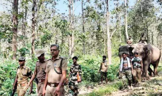 പി.ടി-ഏഴ് കാട്ടുകൊമ്പനെ രാത്രിയും പകലും നിരീക്ഷിച്ച് ദൗത്യസംഘം പി.ടി-ഏഴ് കാട്ടുകൊമ്പനെ രാത്രിയും പകലും നിരീക്ഷിച്ച് ദൗത്യസംഘം