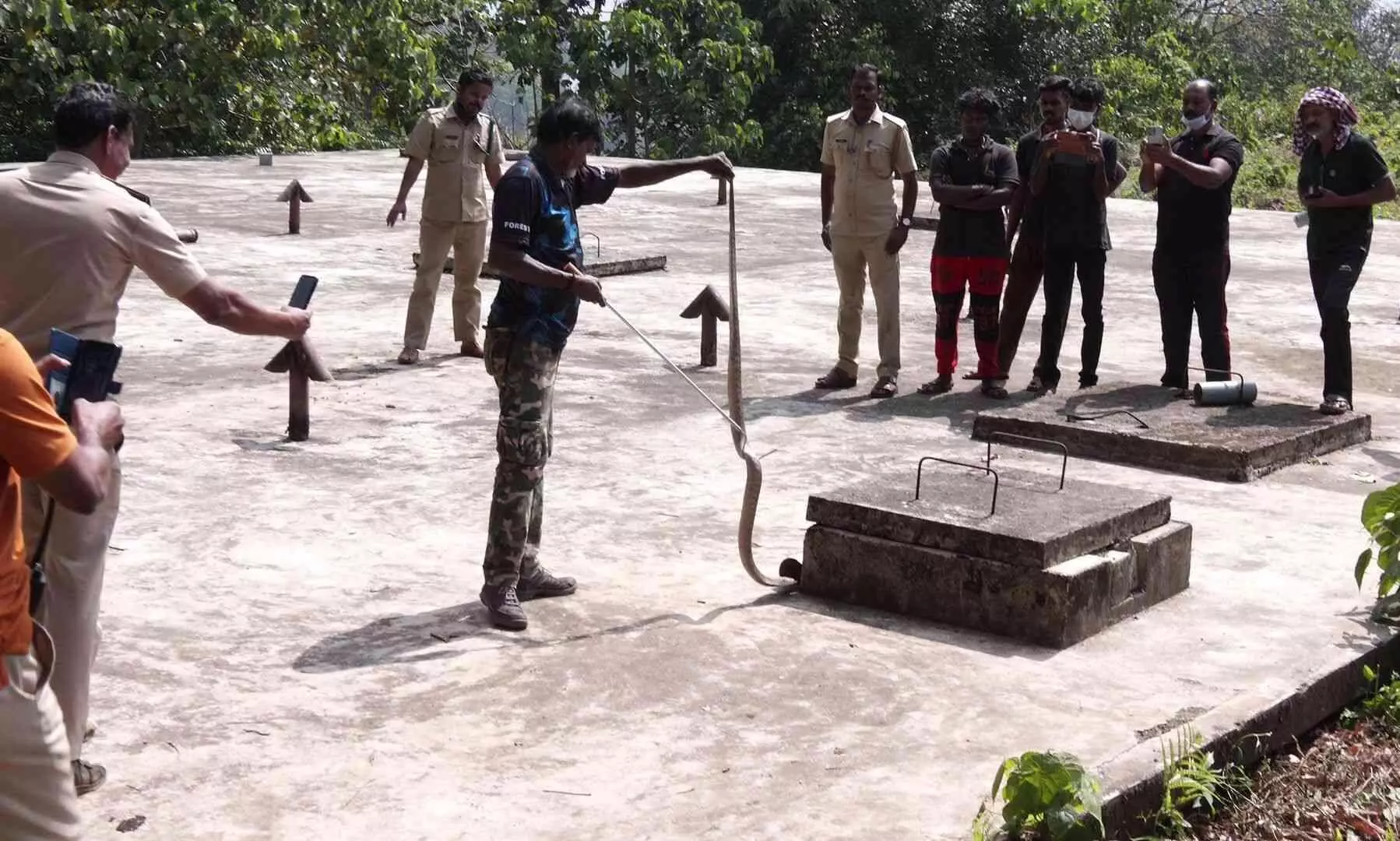 ശബരിമല തീർത്ഥാടകർ വിശ്രമിക്കുന്ന സ്ഥലത്തുനിന്ന് മൂർഖനെ പിടികൂടി ശബരിമല തീർത്ഥാടകർ വിശ്രമിക്കുന്ന സ്ഥലത്തുനിന്ന് മൂർഖനെ പിടികൂടി