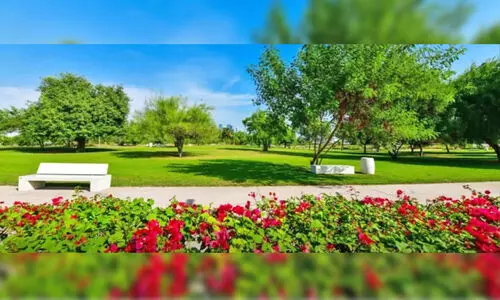 ന​ട്ടും ന​ന​ച്ചും വ​ള​ർ​ത്തും, കൂ​ടു​ത​ൽ പ​ച്ച​പ്പ്