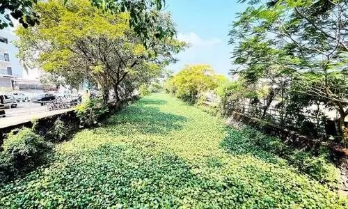 കനാൽ സിറ്റി പദ്ധതി; ആദ്യഘട്ടം സരോവരത്ത്