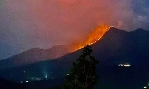 മേപ്പാടി എളമ്പിലേരി ഭാഗത്ത് ചെമ്പ്രമലയിൽ തീപിടിത്തം