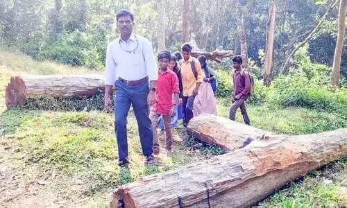 കുട്ടികൾ ക്ലാസിലെത്തിയില്ല; കാടുകയറി അധ്യാപകൻ