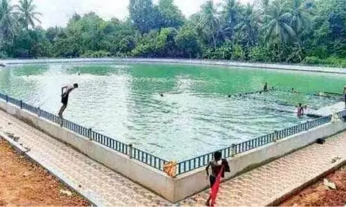 താമരക്കുളം നീന്തൽക്കുളമല്ലെന്ന് സബ് കലക്ടർ