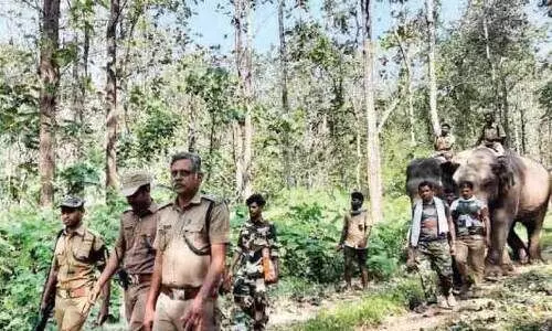 പി.ടി-ഏഴ് കാട്ടുകൊമ്പനെ രാത്രിയും പകലും നിരീക്ഷിച്ച് ദൗത്യസംഘം