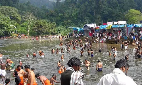 pampa 9809878 pampa 9809878