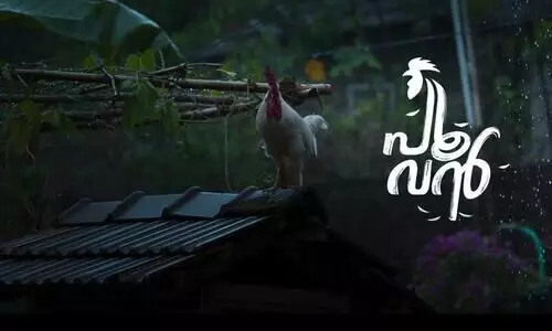 ഇതെന്തൊരു കോഴിയാ, ഒരു വ്യക്തിത്വമില്ലാത്ത കോഴി; ചിരിപ്പിച്ച് പൂവൻ ട്രെയിലർ