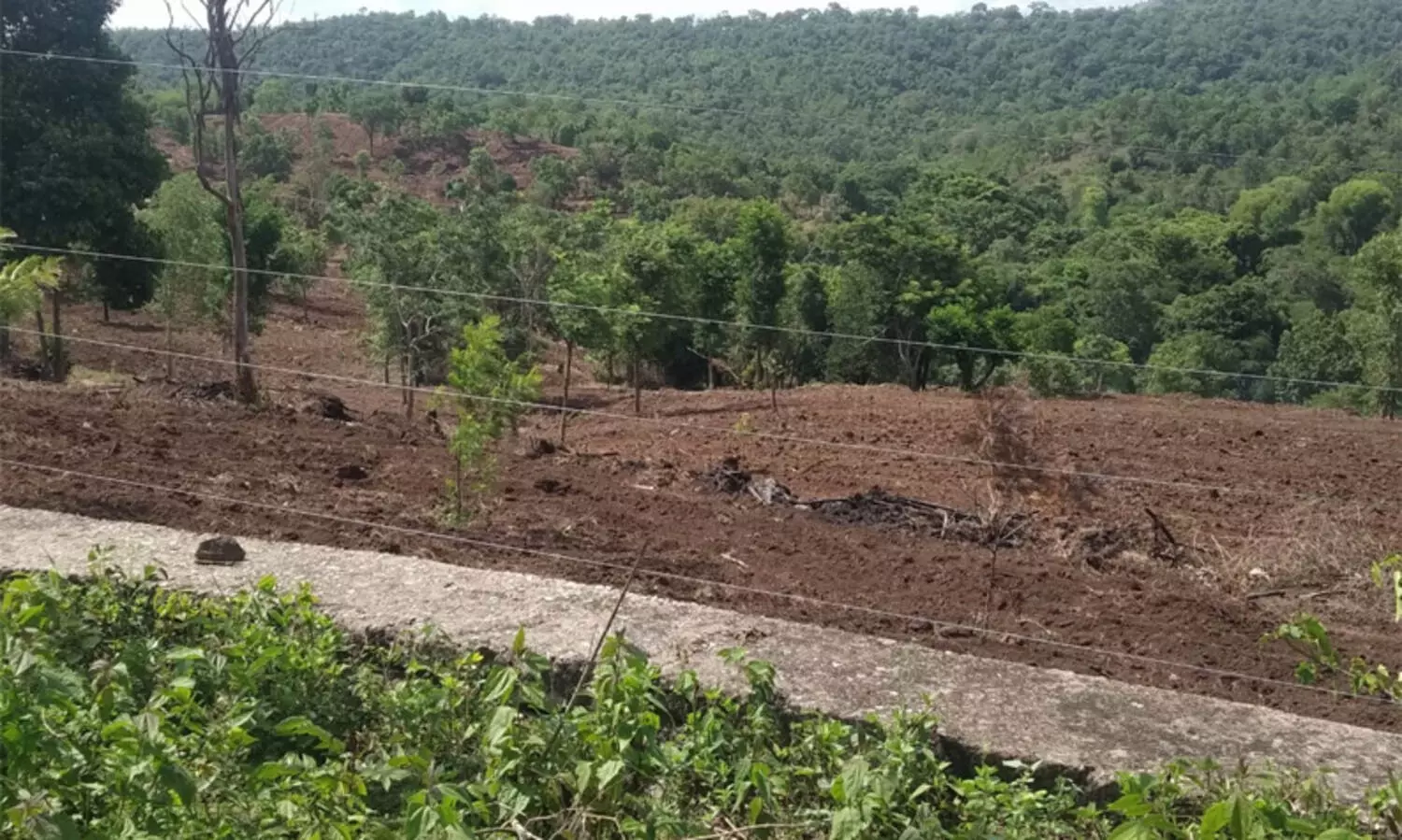 അട്ടപ്പാടിയിൽ വ്യാജരേഖയുണ്ടാക്കി ഭൂമി കൈയേറ്റം: റിപ്പോർട്ട് വൈകുന്നുവെന്ന് ആക്ഷേപം