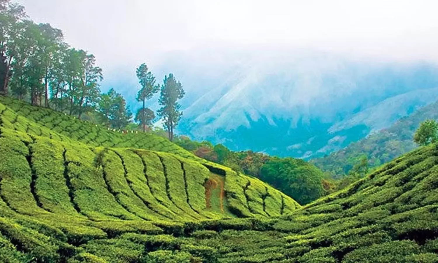 കാര്‍ഡമം ഹില്‍ റിസർവിൽ: കേന്ദ്രാനുമതി ലഭിച്ച ഭൂമിയിലെ കൈവശങ്ങള്‍ക്ക് പട്ടയം അനുവദിക്കാൻ തീരുമാനം