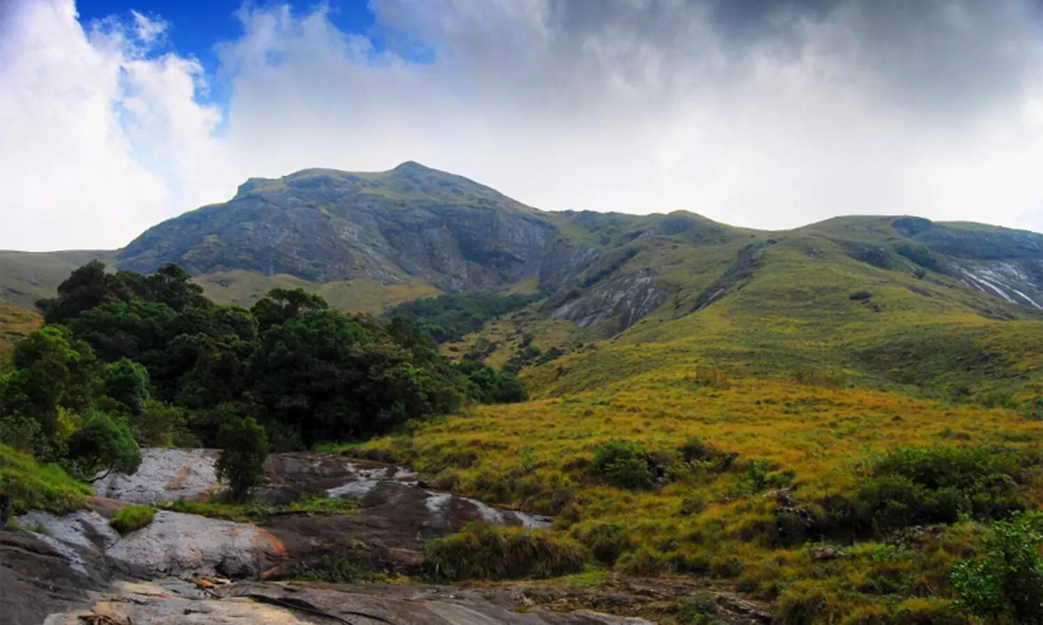 സംസ്ഥാന രൂപീകരണ കാലത്ത് 25 ശതമാനം വനമാണുണ്ടായിരുന്നതെന്ന വാദം നുണയാണെന്ന് കെ. സഹദേവൻ