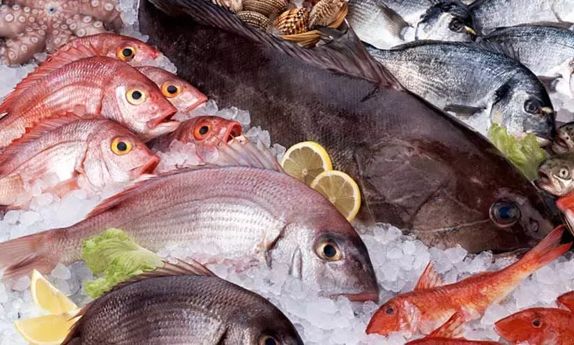 മത്സ്യത്തിലെ മായം: ‘സ്ട്രിപ്’ പരിശോധന പാതിവഴിയിൽ നിലച്ചു മത്സ്യത്തിലെ മായം: ‘സ്ട്രിപ്’ പരിശോധന പാതിവഴിയിൽ നിലച്ചു