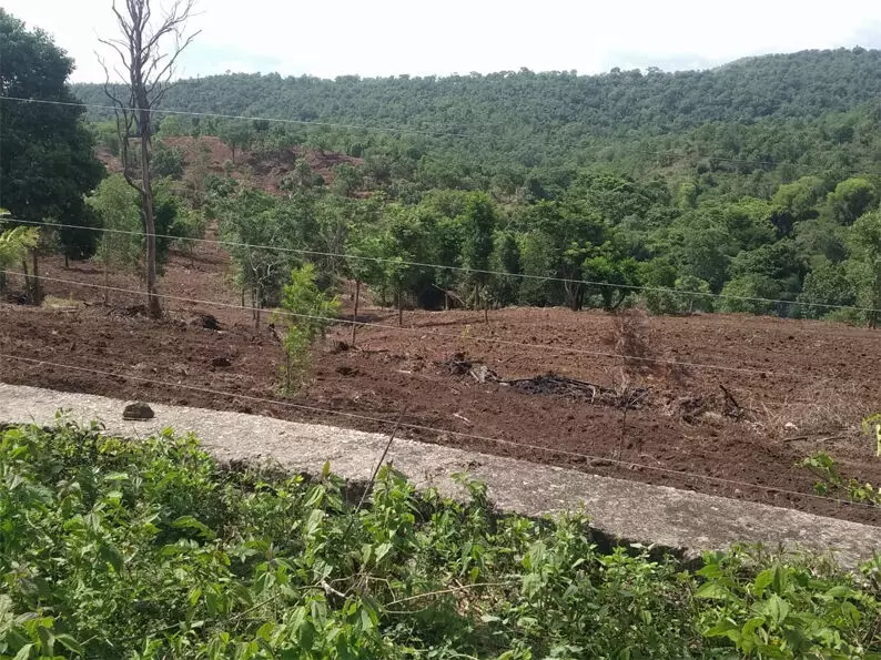 അട്ടപ്പാടിയിൽ വ്യാജരേഖയുണ്ടാക്കി ഭൂമി കൈയേറ്റം: റിപ്പോർട്ട് വൈകുന്നുവെന്ന് ആക്ഷേപം