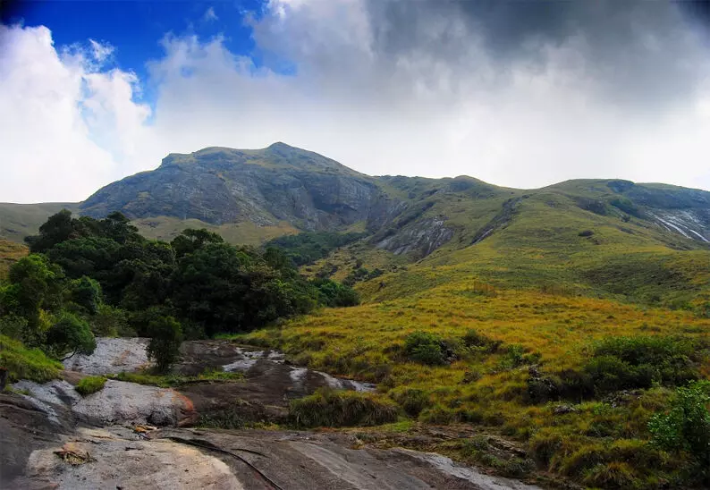 സംസ്ഥാന രൂപീകരണ കാലത്ത് 25 ശതമാനം വനമാണുണ്ടായിരുന്നതെന്ന വാദം നുണയാണെന്ന് കെ. സഹദേവൻ