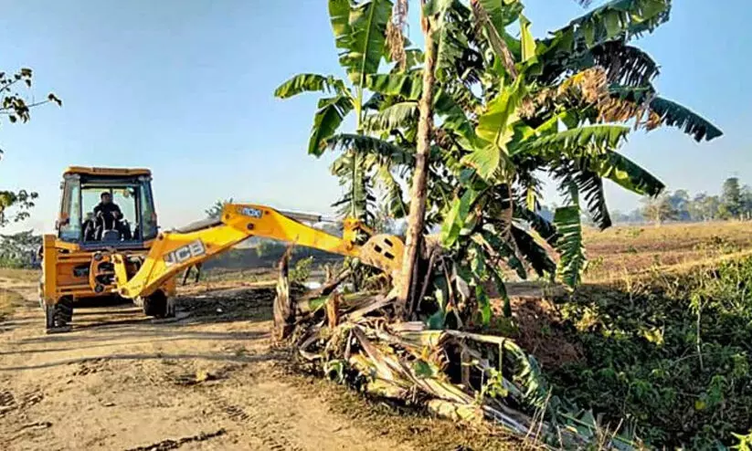 lakhimpur 0980786a lakhimpur 0980786a