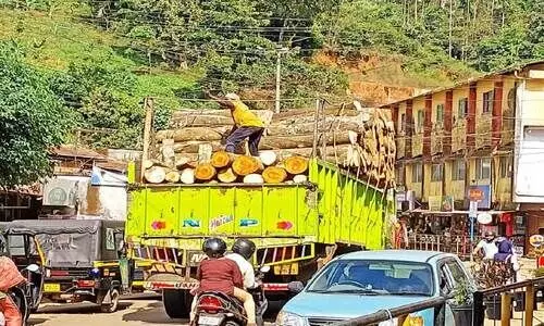 മരംലോറികൾ അപകട ഭീഷണിയാവുന്നു