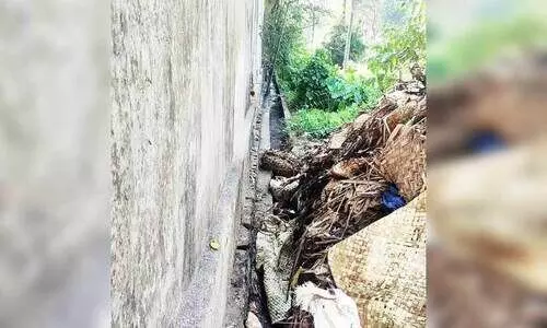 മാലിന്യവാഹിനിയായി അടിമാലിയിലെ തോടുകൾ