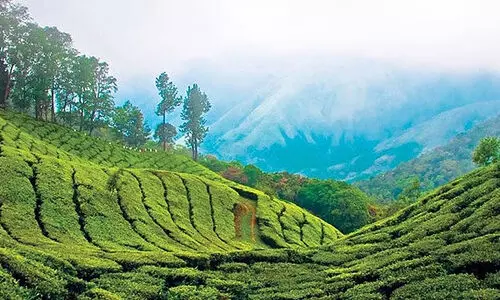 കാര്‍ഡമം ഹില്‍ റിസർവിൽ: കേന്ദ്രാനുമതി ലഭിച്ച ഭൂമിയിലെ കൈവശങ്ങള്‍ക്ക് പട്ടയം അനുവദിക്കാൻ തീരുമാനം