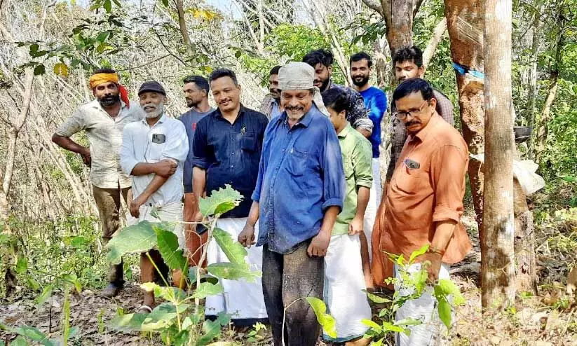 തില്ലങ്കേരിയിൽ വീണ്ടും പുലി; ആശങ്കയിൽ ജനം