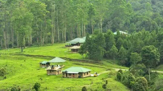 ബഫര്‍സോൺ: സുപ്രീംകോടതി നിലപാട് അനുകൂലമെന്ന് എ.കെ.ശശീന്ദ്രന്‍