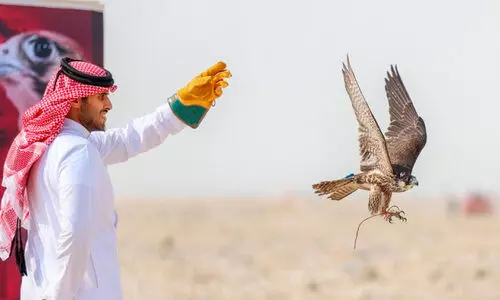 ഇ​ന്റ​ർ​നാ​ഷ​ന​ൽ ഫാ​ൽ​ക്ക​ൺ ആ​ൻ​ഡ് ഹ​ണ്ടി​ങ് ഫെ​സ്റ്റി​വ​ൽ