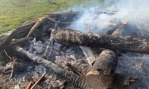 പക്ഷിപ്പനി: ദൗത്യം പൂർത്തിയായി, 3582 പക്ഷികളെ കൊന്നൊടു​ക്കി