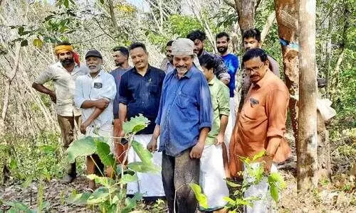 തില്ലങ്കേരിയിൽ വീണ്ടും പുലി; ആശങ്കയിൽ ജനം