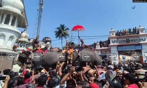 എരുമേലി പേട്ടതുള്ളൽ നടന്നു; വർണങ്ങൾ വാരിവിതറി അമ്പലപ്പുഴ സംഘം