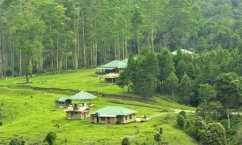 ബഫര്‍സോൺ: സുപ്രീംകോടതി നിലപാട് അനുകൂലമെന്ന് എ.കെ.ശശീന്ദ്രന്‍