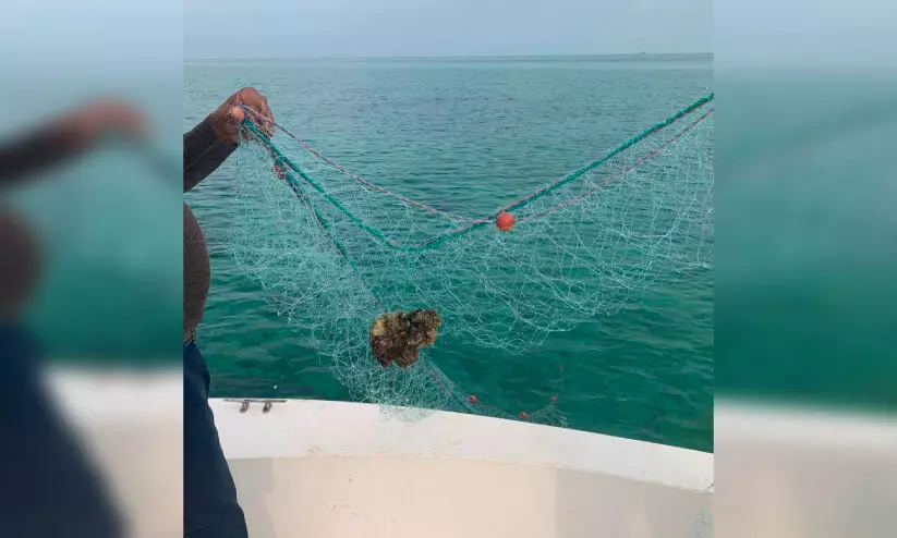 വ്യ​വ​സ്ഥ​ക​ൾ ലം​ഘി​ച്ച് മ​ത്സ്യ​ബ​ന്ധ​നം: വ​ല​ക​ൾ പി​ടി​ച്ചെ​ടു​ത്തു