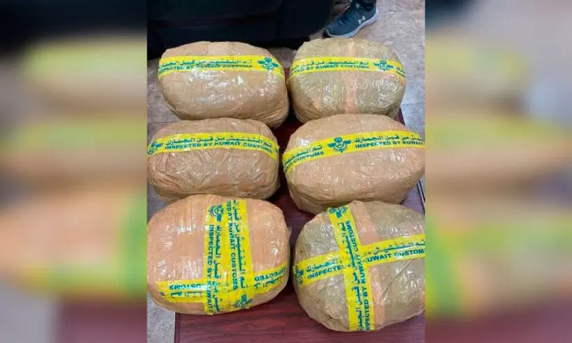 13 കിലോ കഞ്ചാവുമായി കുവൈത്ത് വിമാനത്താവളത്തിൽ ഒരാൾ പിടിയിൽ 13 കിലോ കഞ്ചാവുമായി കുവൈത്ത് വിമാനത്താവളത്തിൽ ഒരാൾ പിടിയിൽ