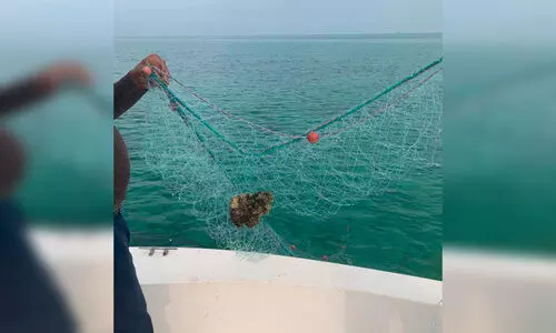 വ്യ​വ​സ്ഥ​ക​ൾ ലം​ഘി​ച്ച് മ​ത്സ്യ​ബ​ന്ധ​നം: വ​ല​ക​ൾ പി​ടി​ച്ചെ​ടു​ത്തു