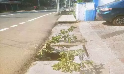 ഓവുചാലിന്റെ സ്ലാബുകളിൽ അപകടം പതിയിരിക്കുന്നു