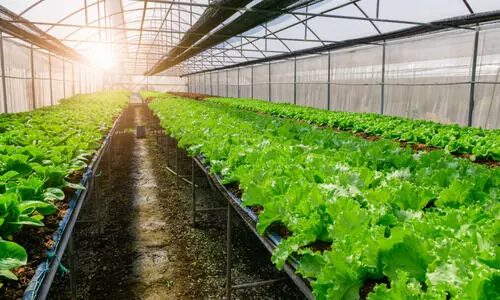 ജൈവവിളകൾക്കായി മൂന്ന് സഹകരണ സംഘങ്ങൾ