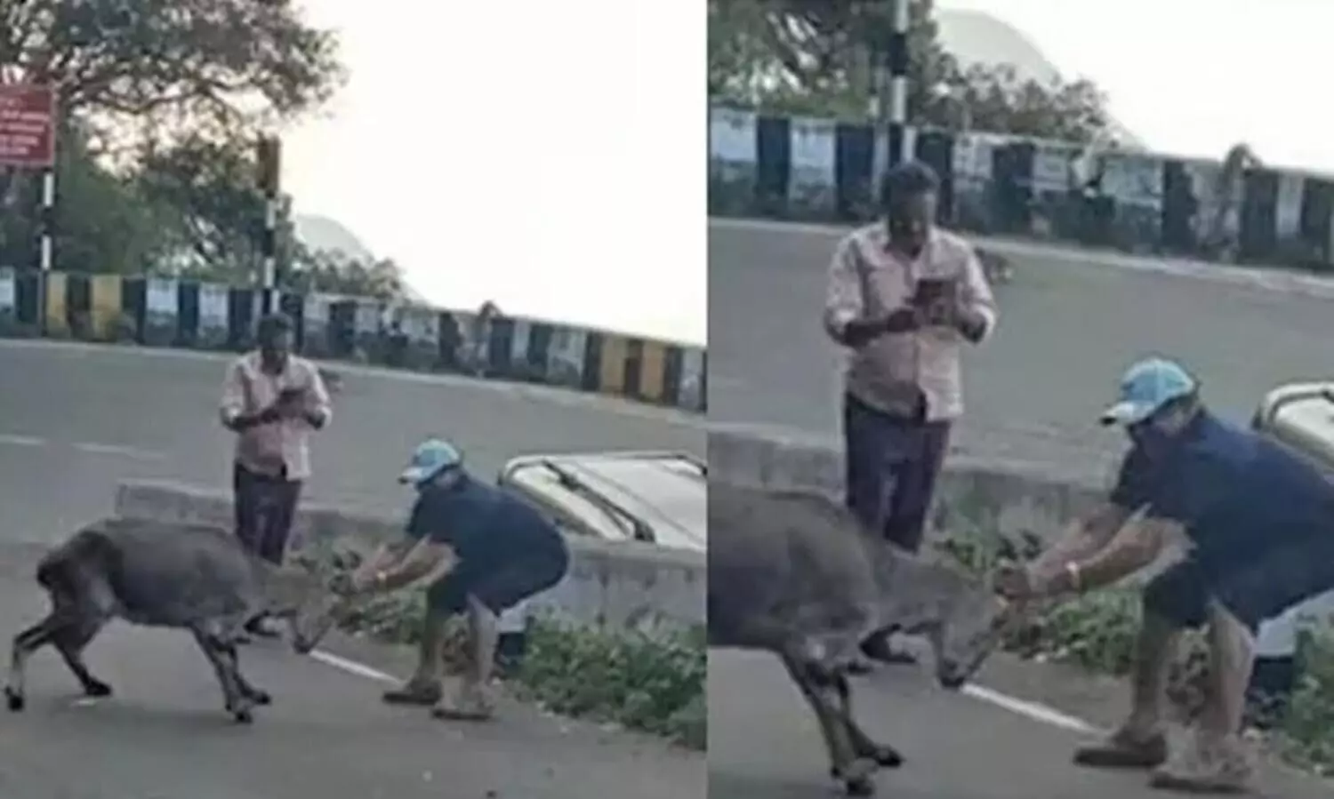 photograph deer  horns Malayali priest jail