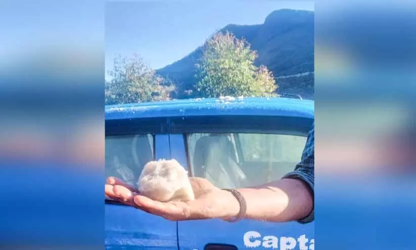 കാന്തല്ലൂരിലും അതിശൈത്യം