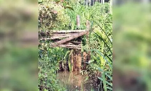 അധികൃതരുടെ അവഗണനയിൽ അഞ്ചാം പാലം