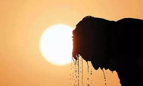 കോട്ടയത്തെ പൊള്ളിച്ച് ചൂട്; കുടിവെള്ളക്ഷാമവും രൂക്ഷം