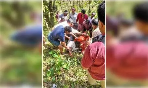 കടുവ ആക്രമണം; കർഷകന്‍റെ മരണത്തിൽ നടുങ്ങി നാട്