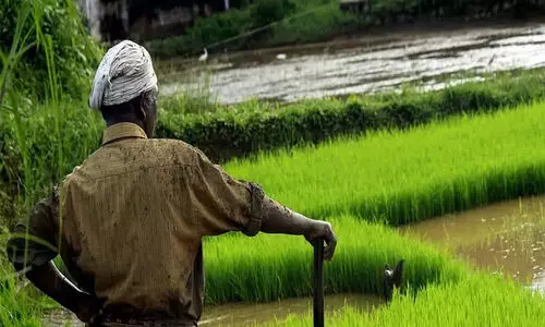 കാര്‍ഷിക സെന്‍സസ്: ജില്ലയില്‍ ആദ്യഘട്ട വിവരശേഖരണത്തിന് തുടക്കം