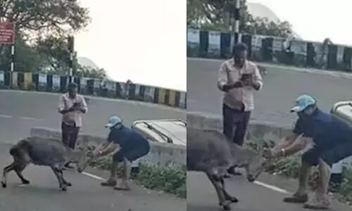 photograph deer  horns Malayali priest jail