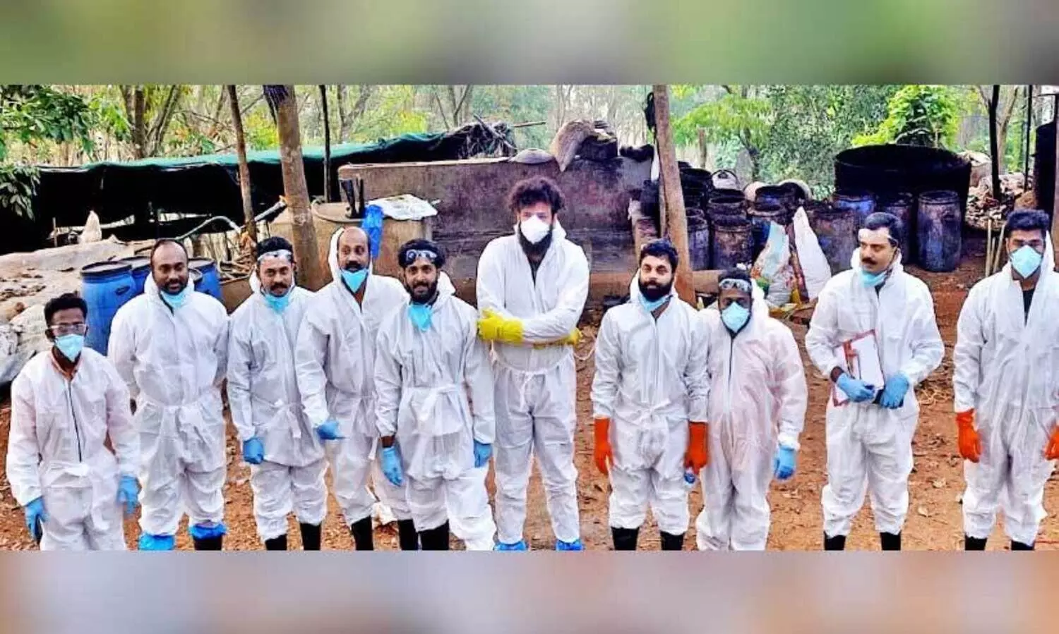 ആഫ്രിക്കൻ പന്നിപ്പനി; 491 പന്നികളെ കൊന്ന് ശാസ്ത്രീയമായി സംസ്കരിച്ചു