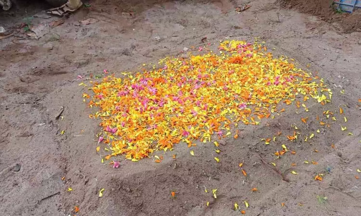 വളർത്തുനായ സൂസിക്ക്  അരൂർ പൊലീസിന്റെ യാത്രയയപ്പ്