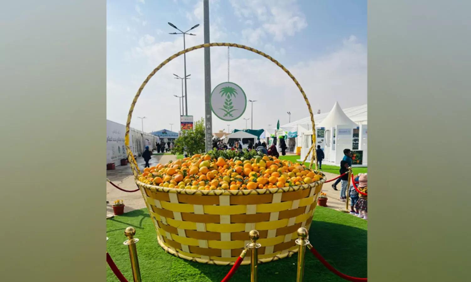 ഹരീഖിൽ ഓറഞ്ച്​ മണവും വർണവും പരത്തി മധുരനാരങ്ങ മേളക്ക്​ തുടക്കം